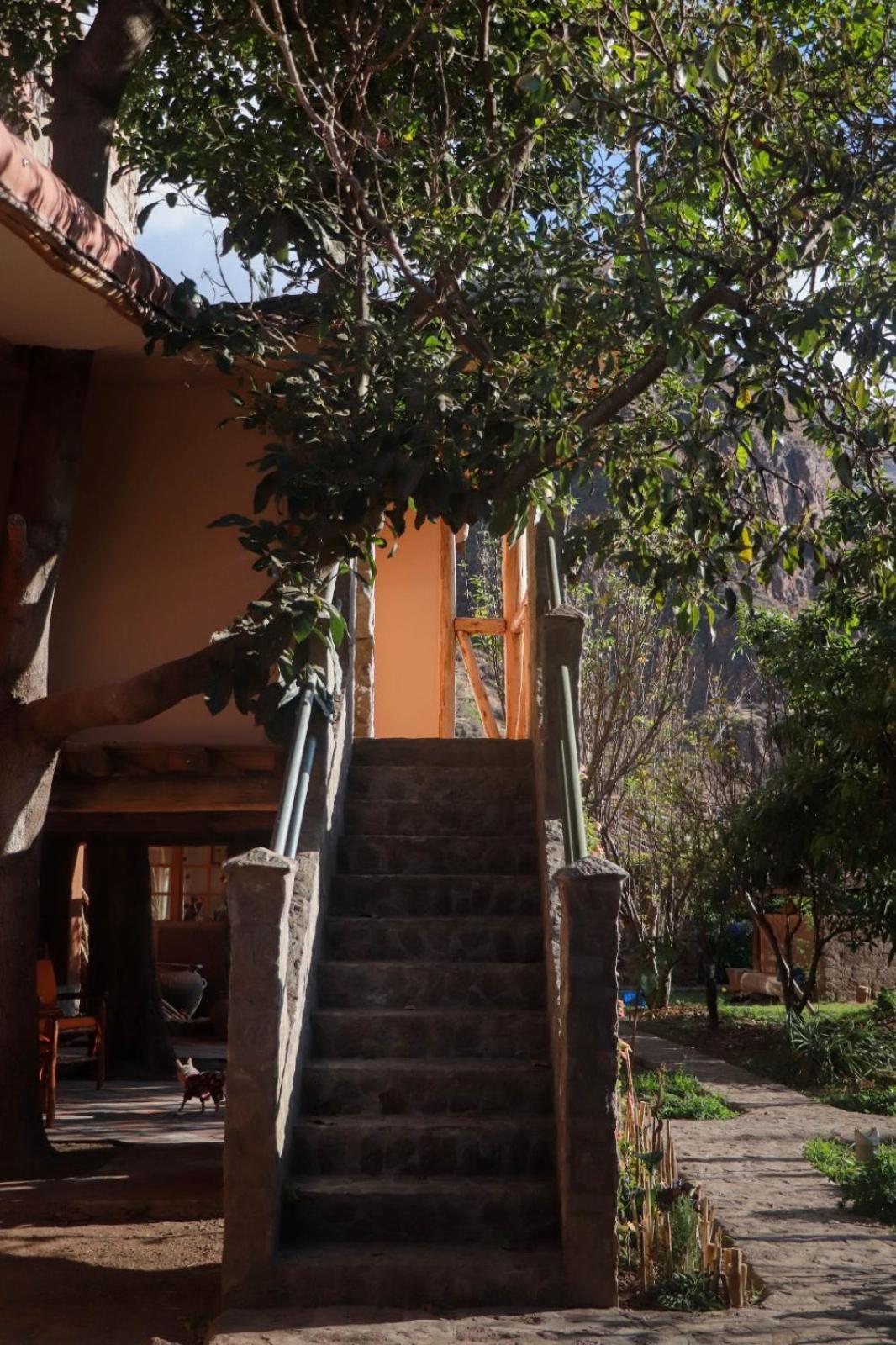 דירות קוסקו Casa De Aida מראה חיצוני תמונה